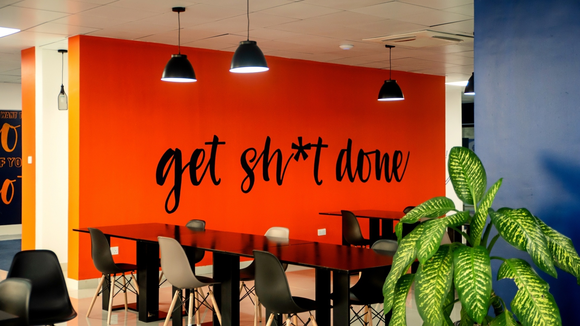 Seedspace Dar es Salaam photo 6