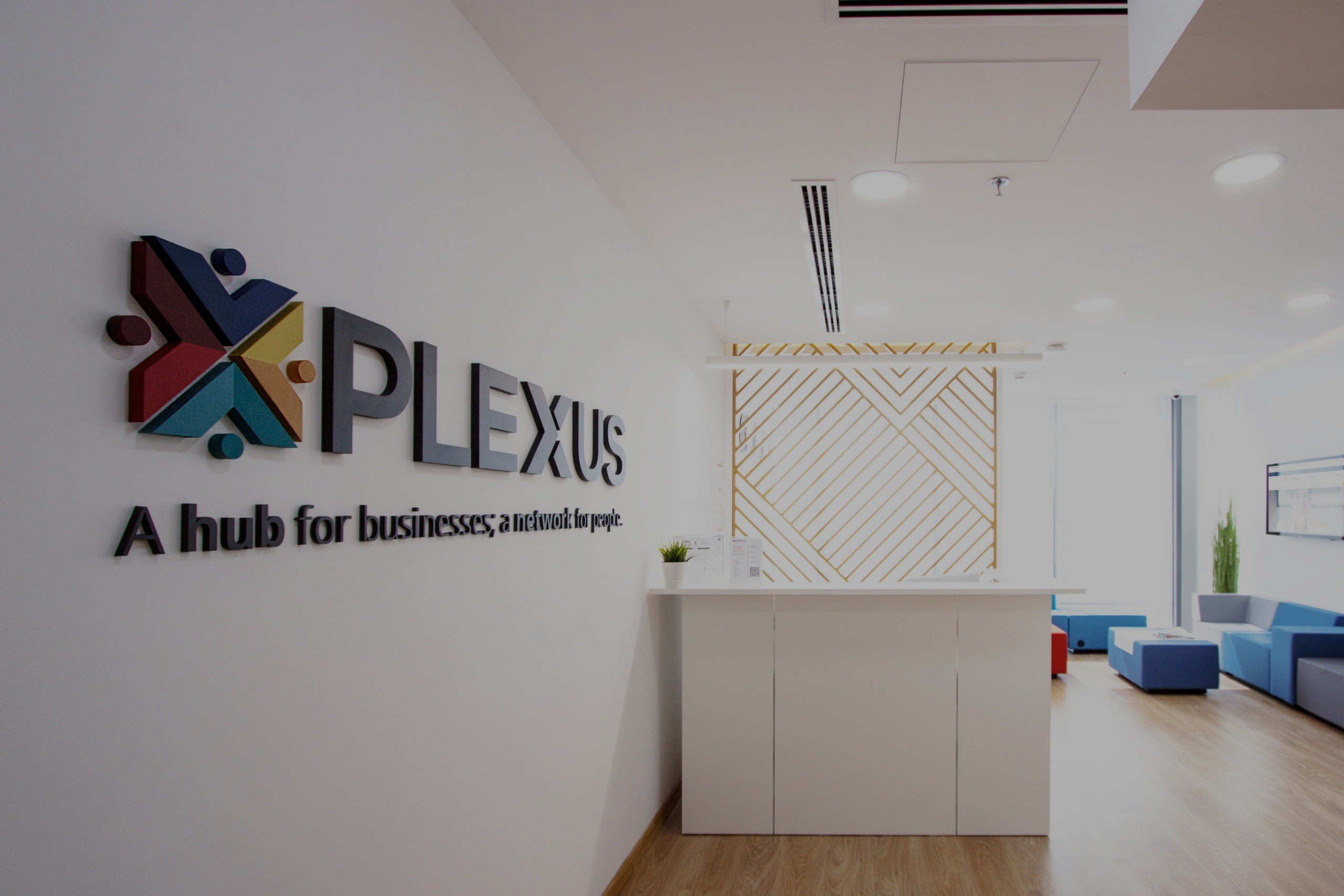 PLEXUS photo 3
