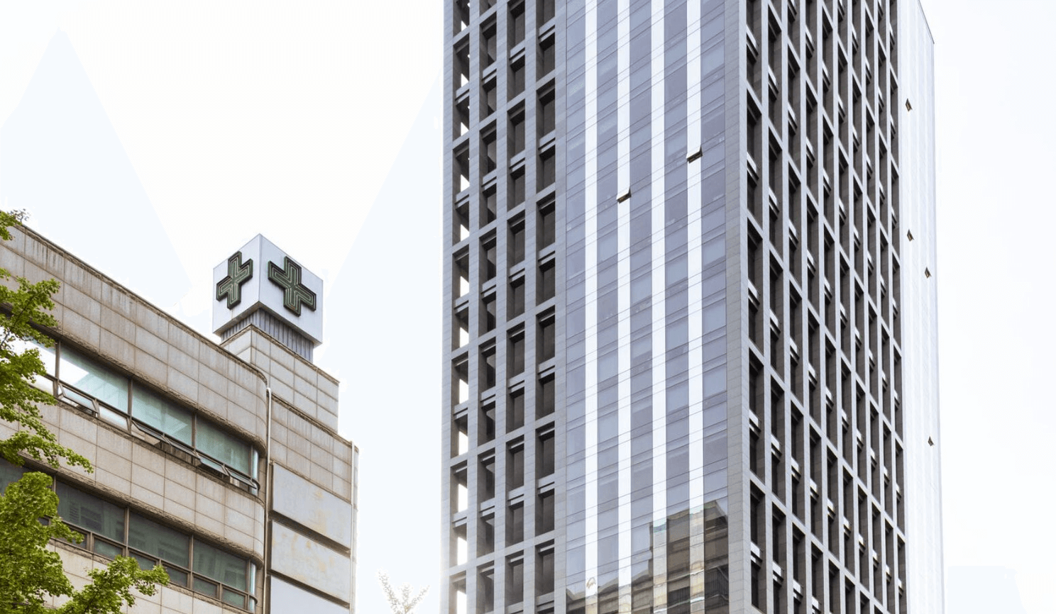 WeWork Seolleung III photo 6