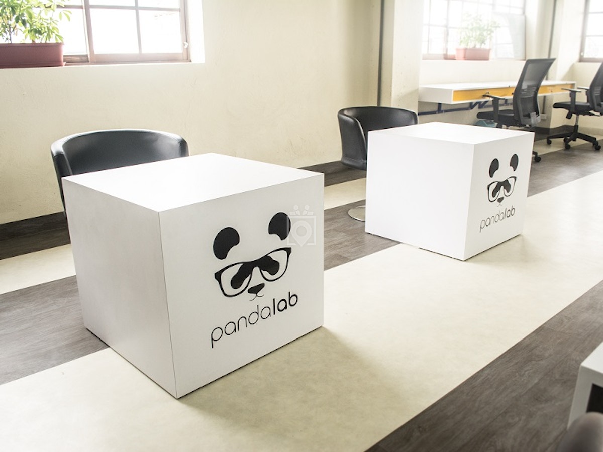 Panda Lab photo 4