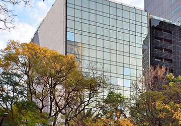 Net(Work) Reforma