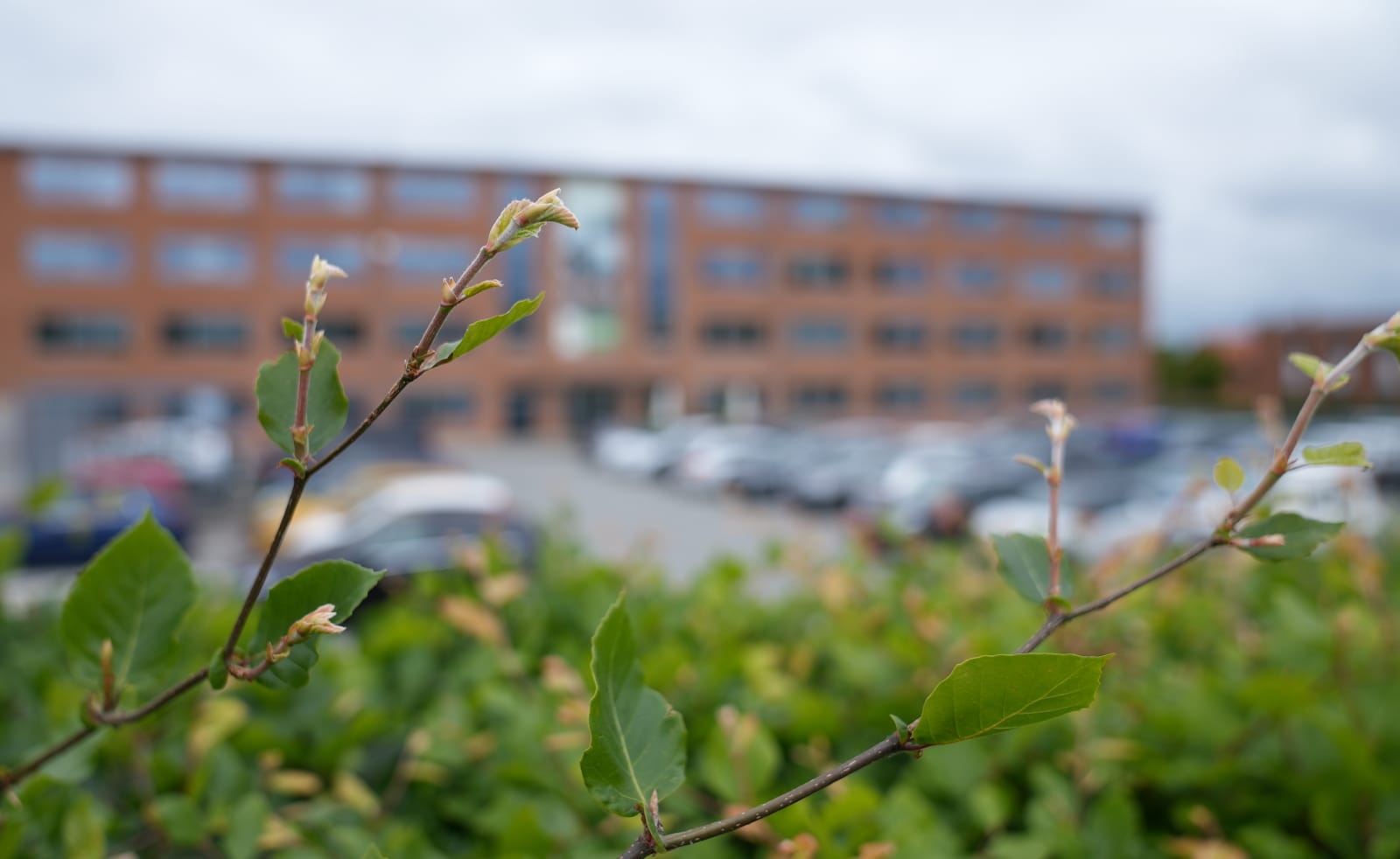 Sønderhøj 9 photo 5