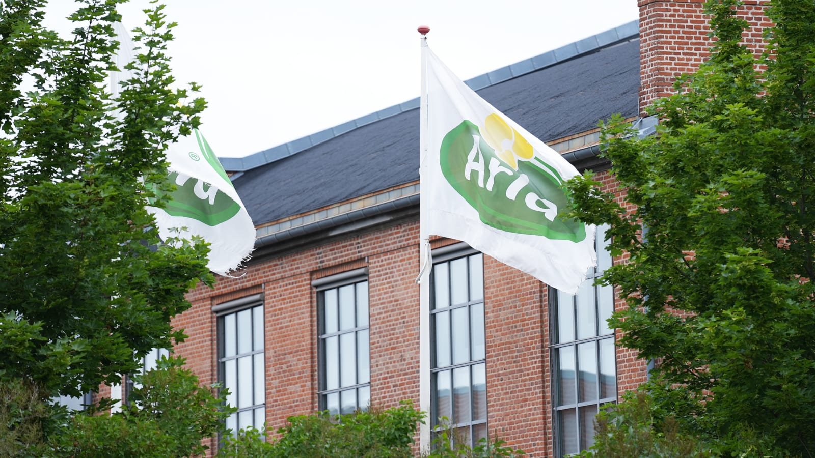 Sønderhøj 9 photo 4