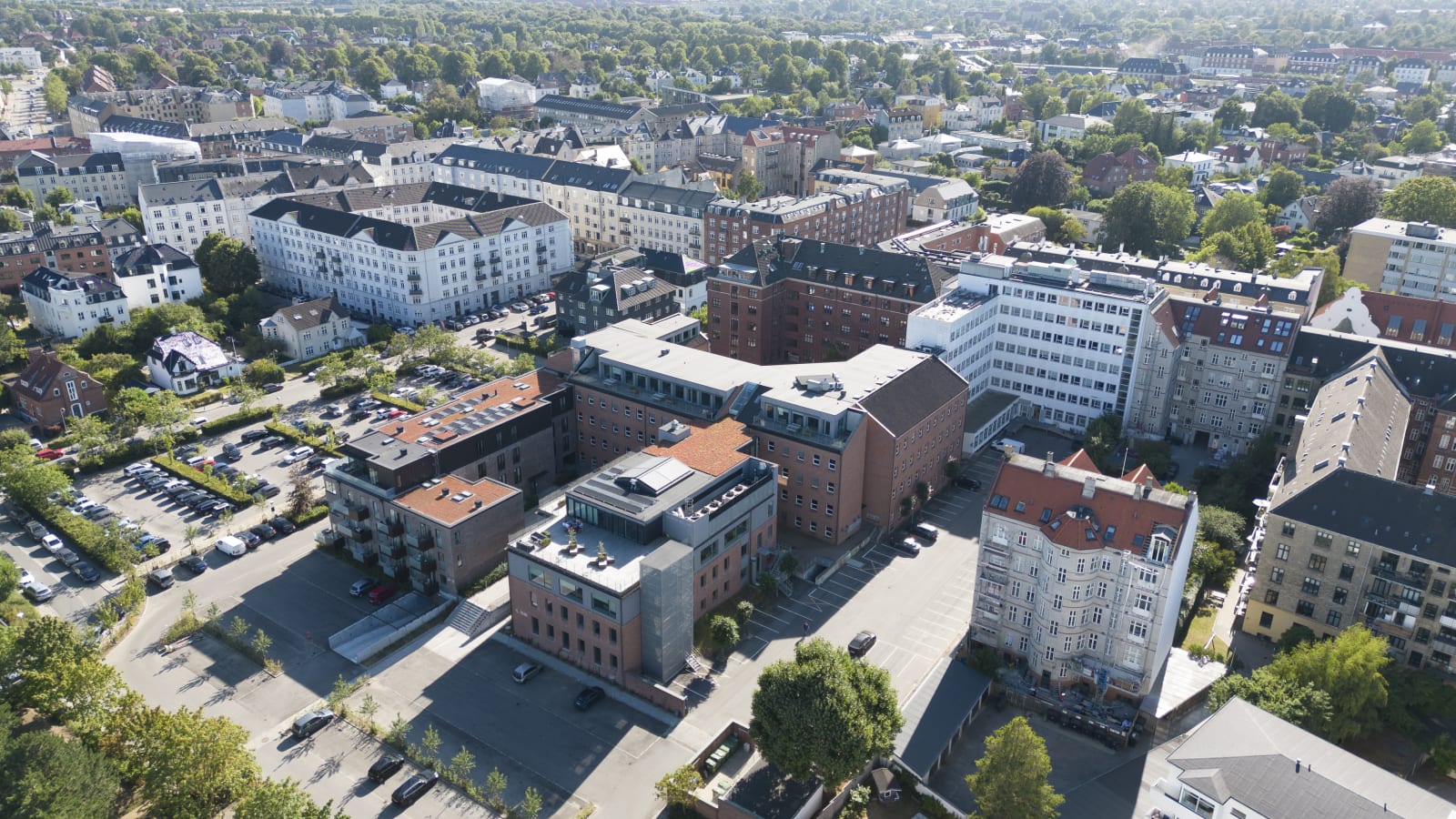 Helleruphus photo 4