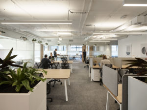 Hub Wynyard photo 2