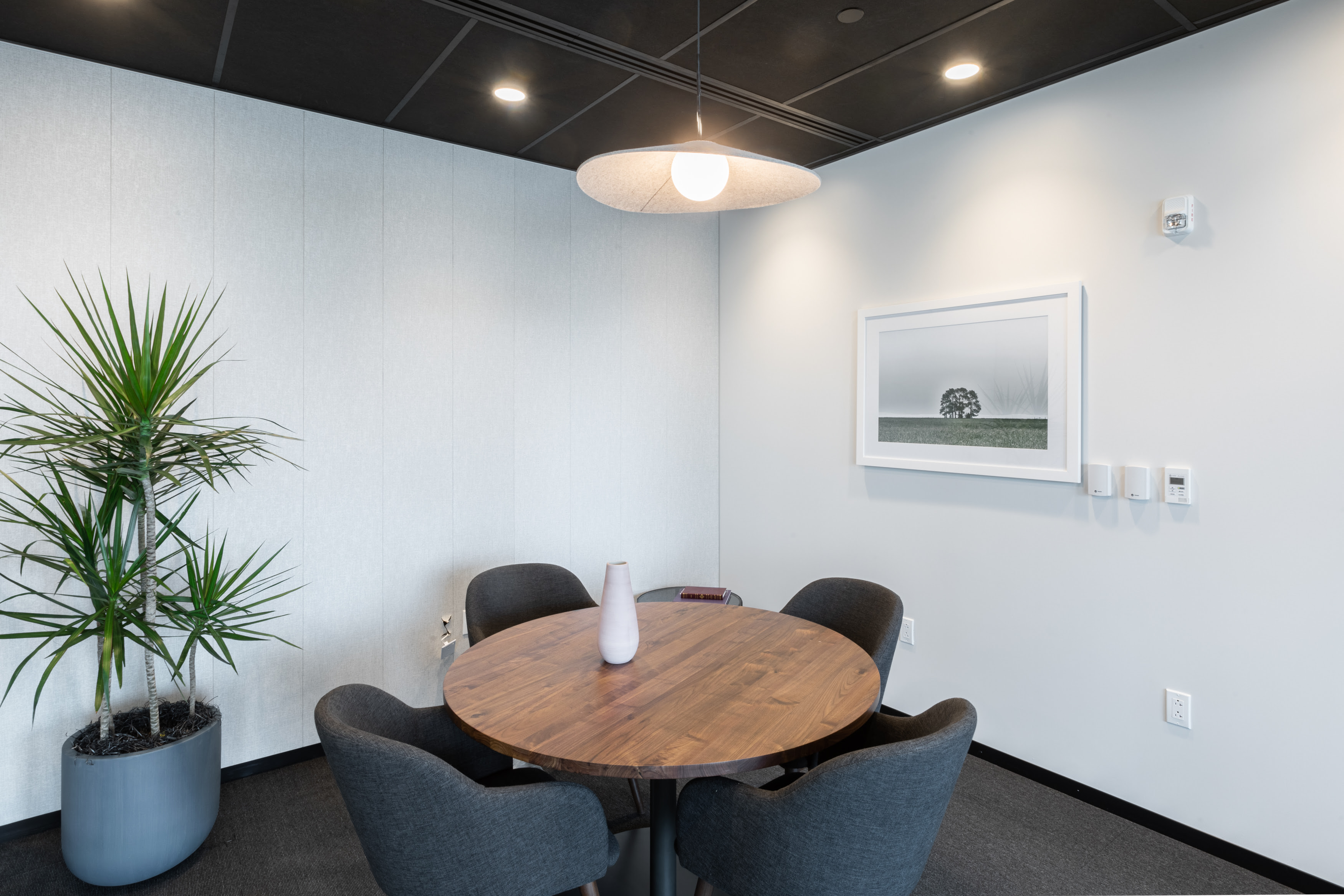 North Bethesda - Pike & Rose photo 10