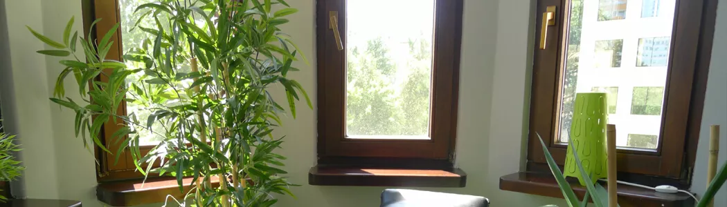 BIURO photo 6