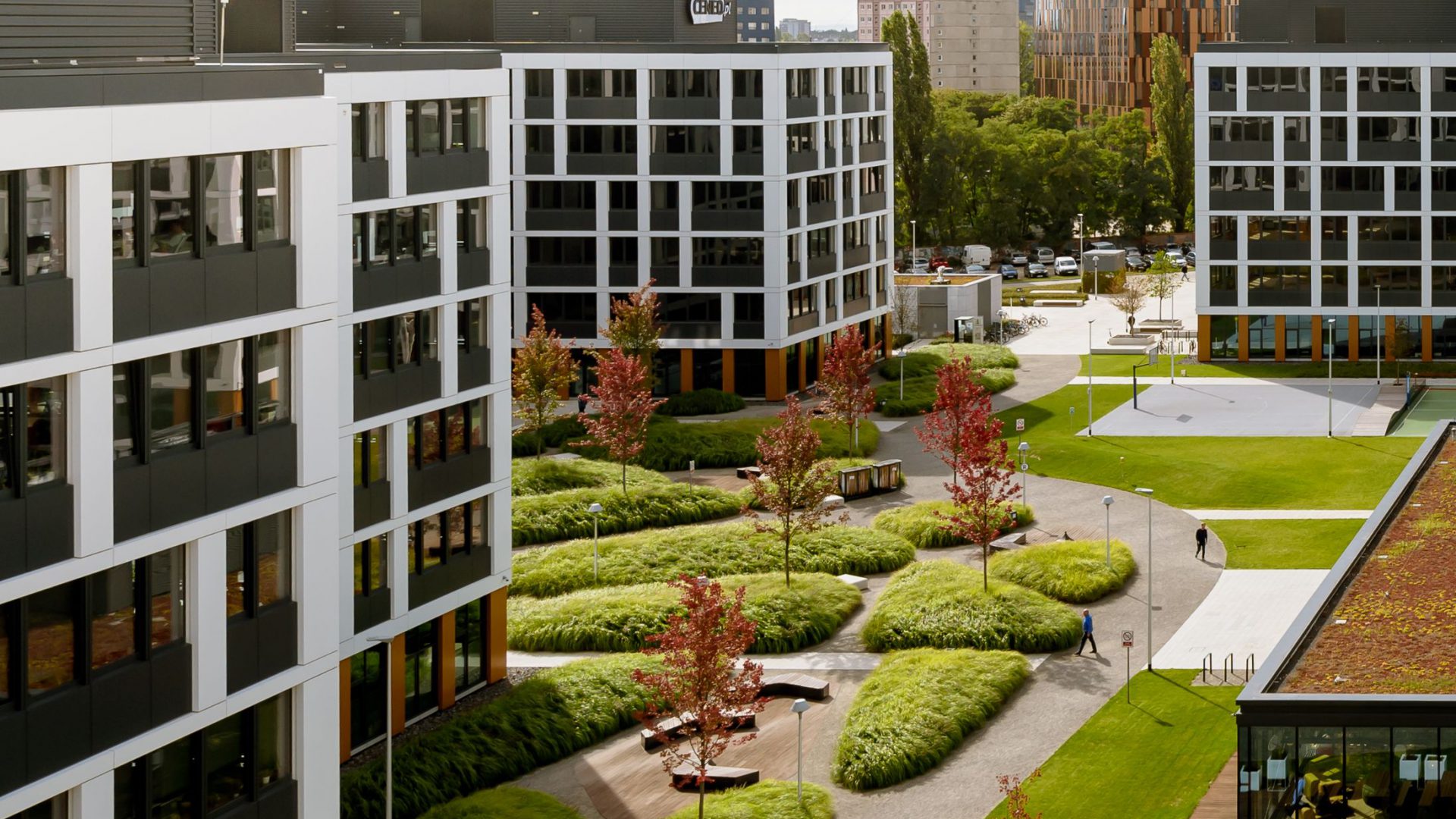 Business Garden Wrocław photo 4