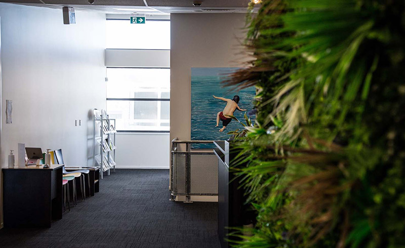 Shared Tauranga photo 2