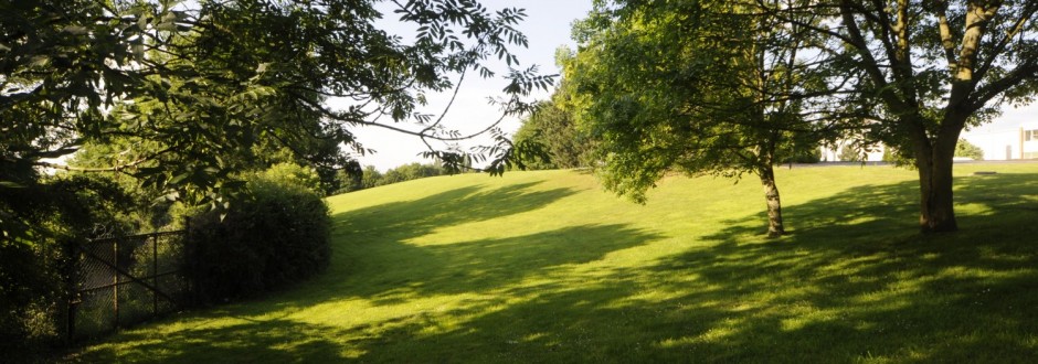 Repton House photo 3