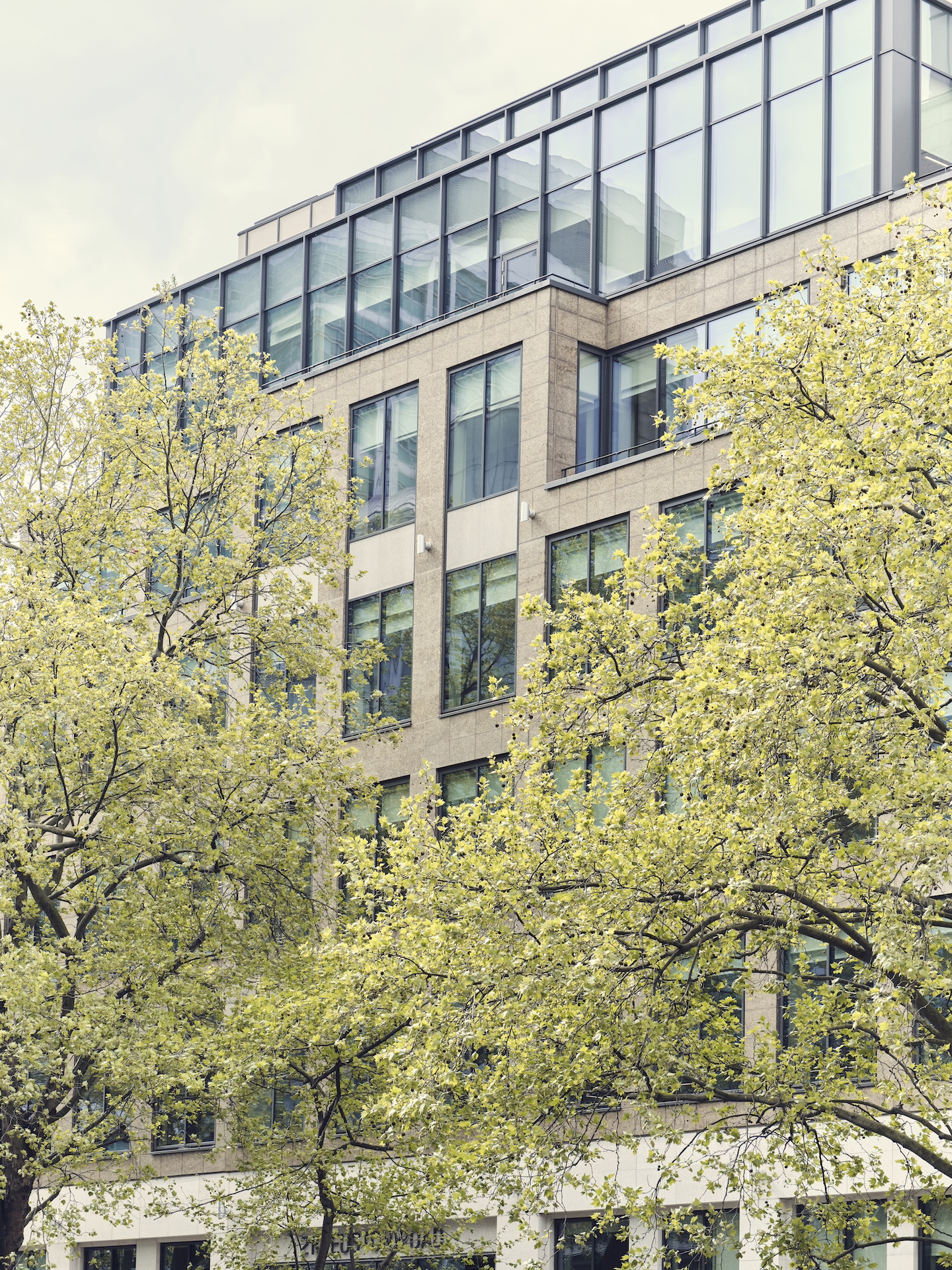 210 Euston Road photo 3