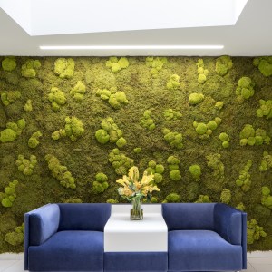 Thanet House photo 3
