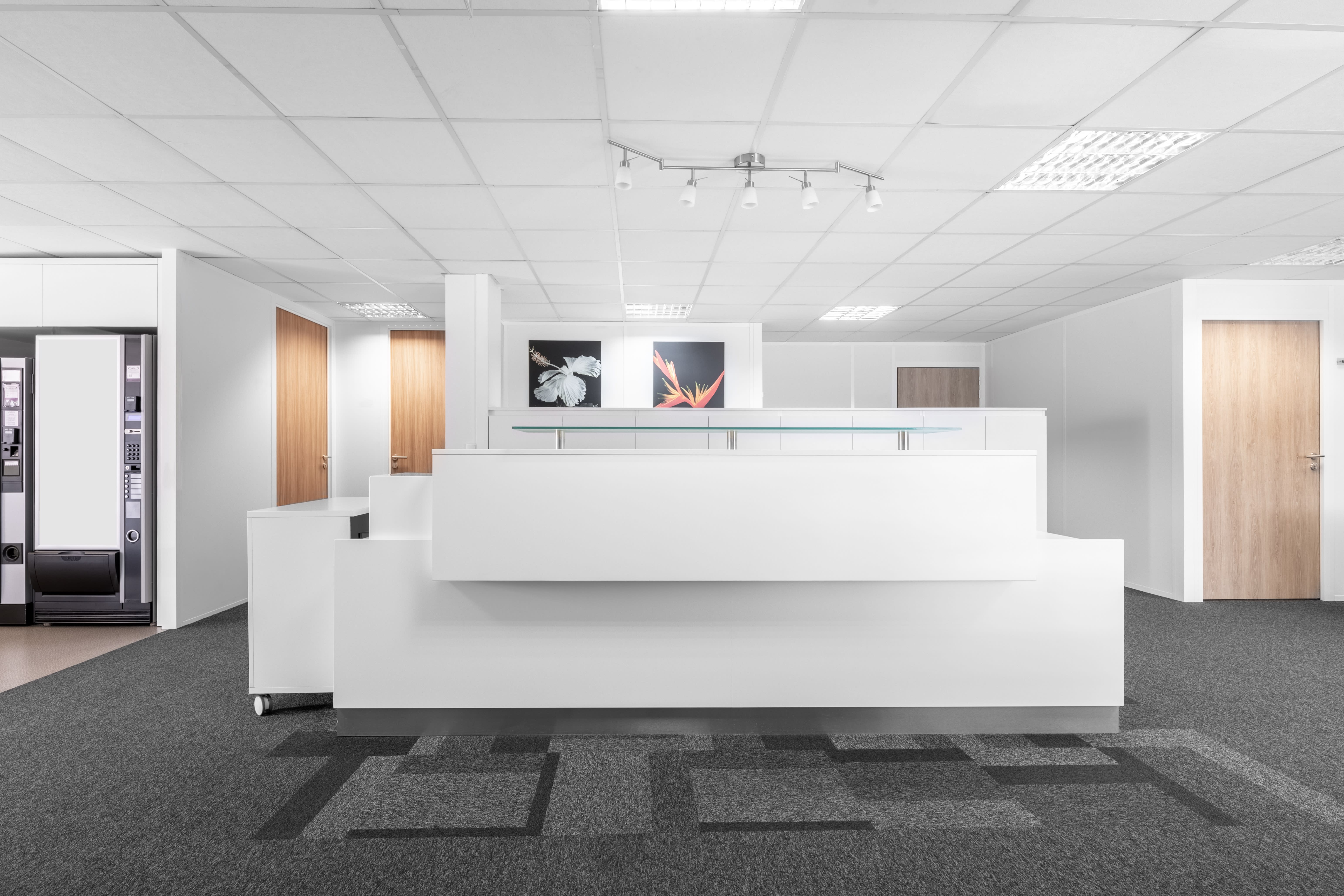 SOPARQ photo 4