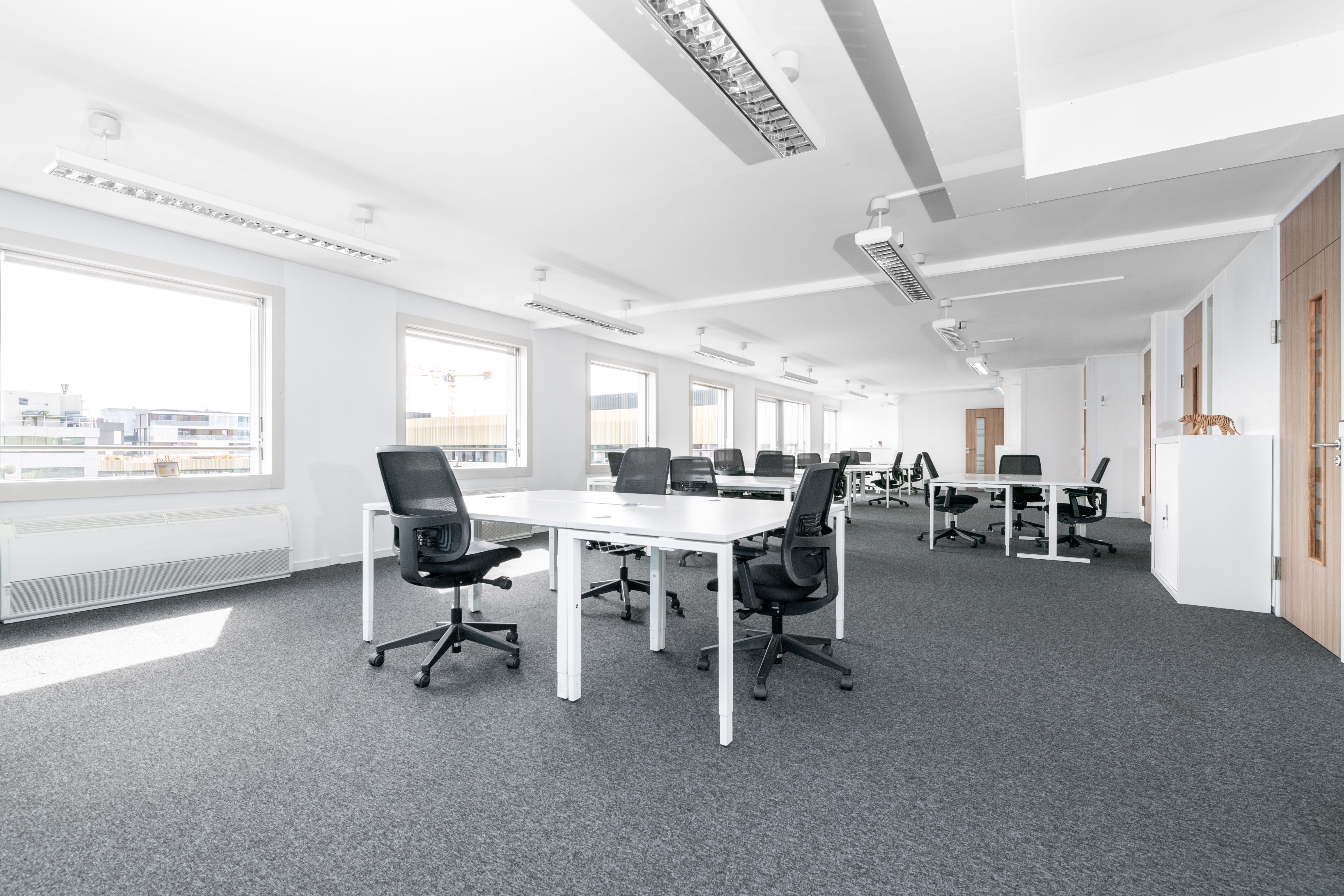 SOPARQ photo 5