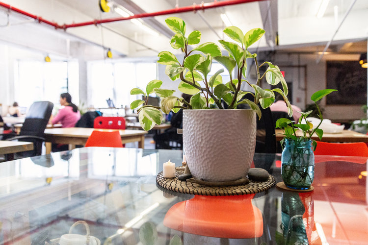 The Compound Cowork NYC photo 1
