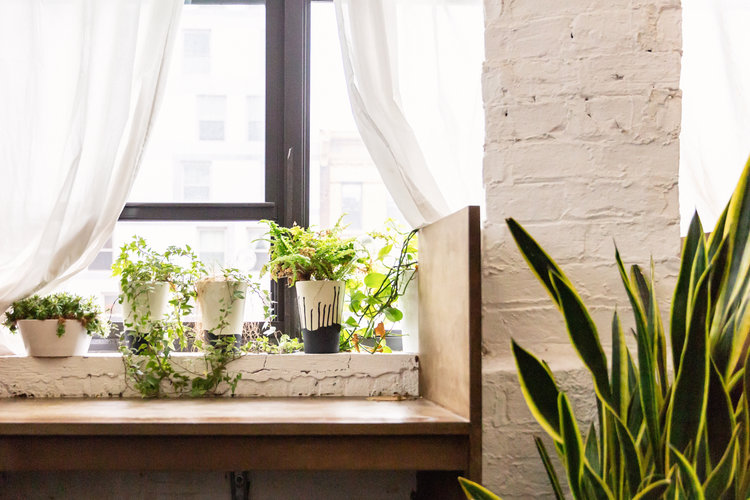 The Compound Cowork NYC photo 4