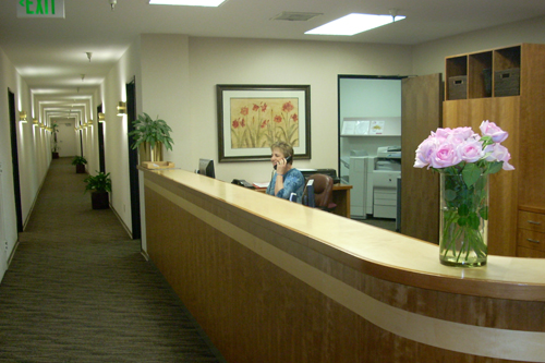Bay Area Executive Offices - 533 Airport Blvd photo 4