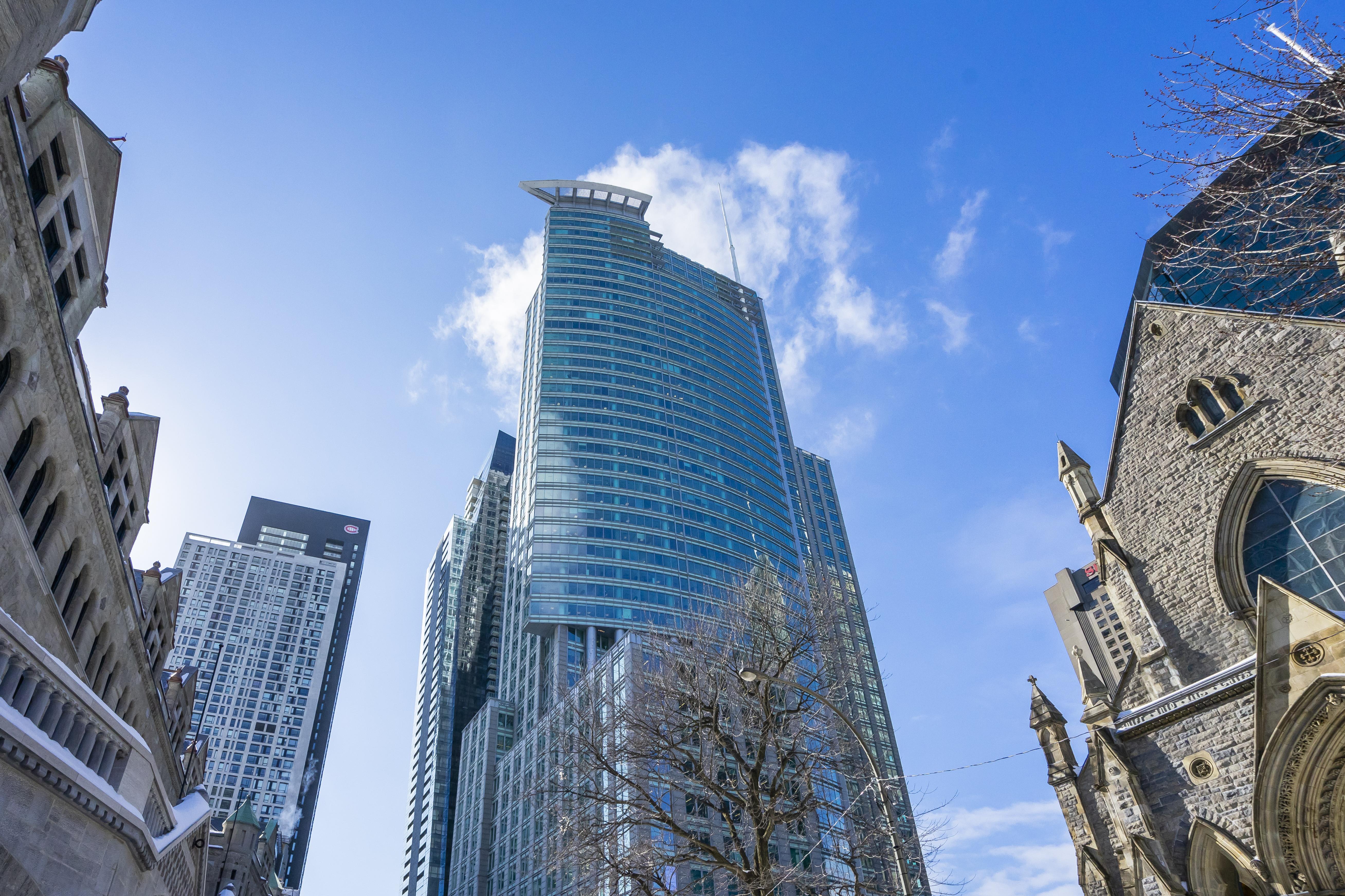 1250 René-Lévesque photo 4