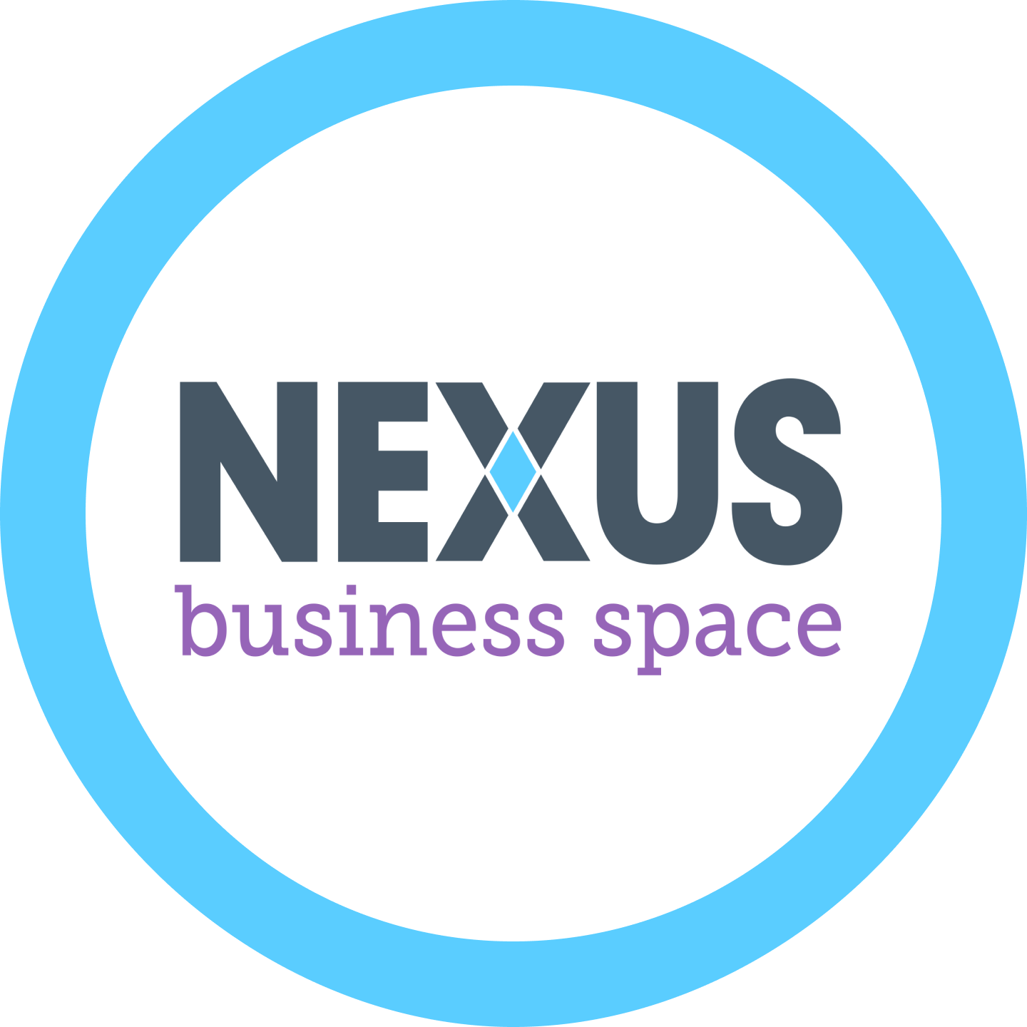 Nexus Business Space logo