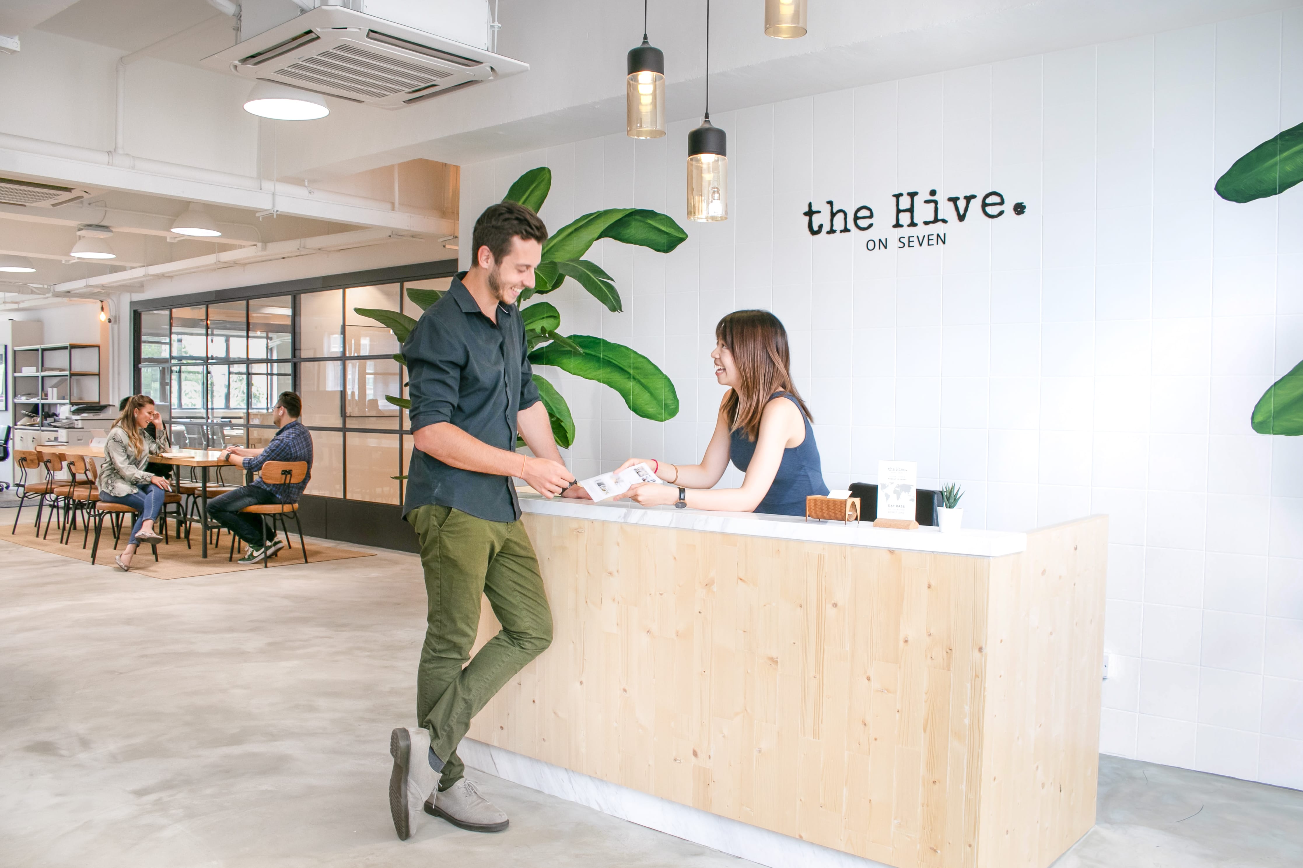 The Hive Seven photo 4