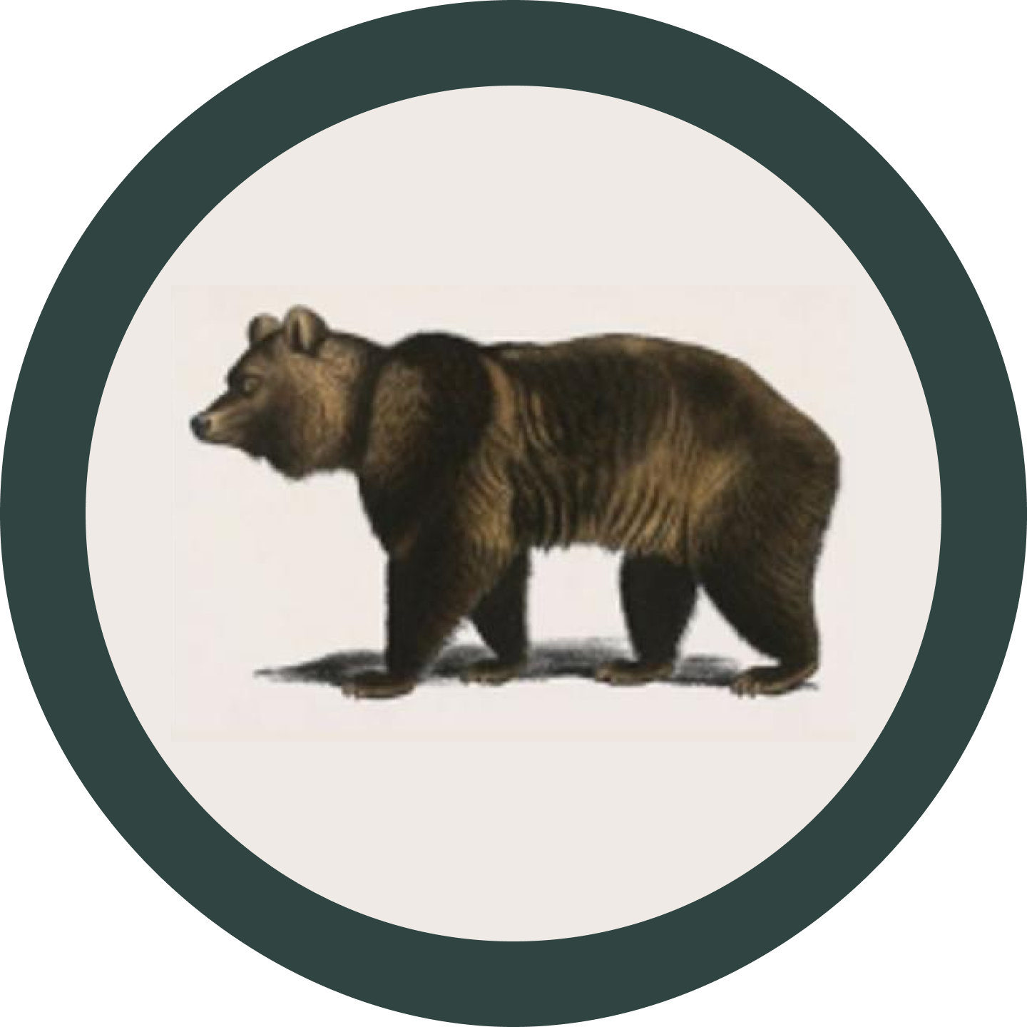 The Drayton logo