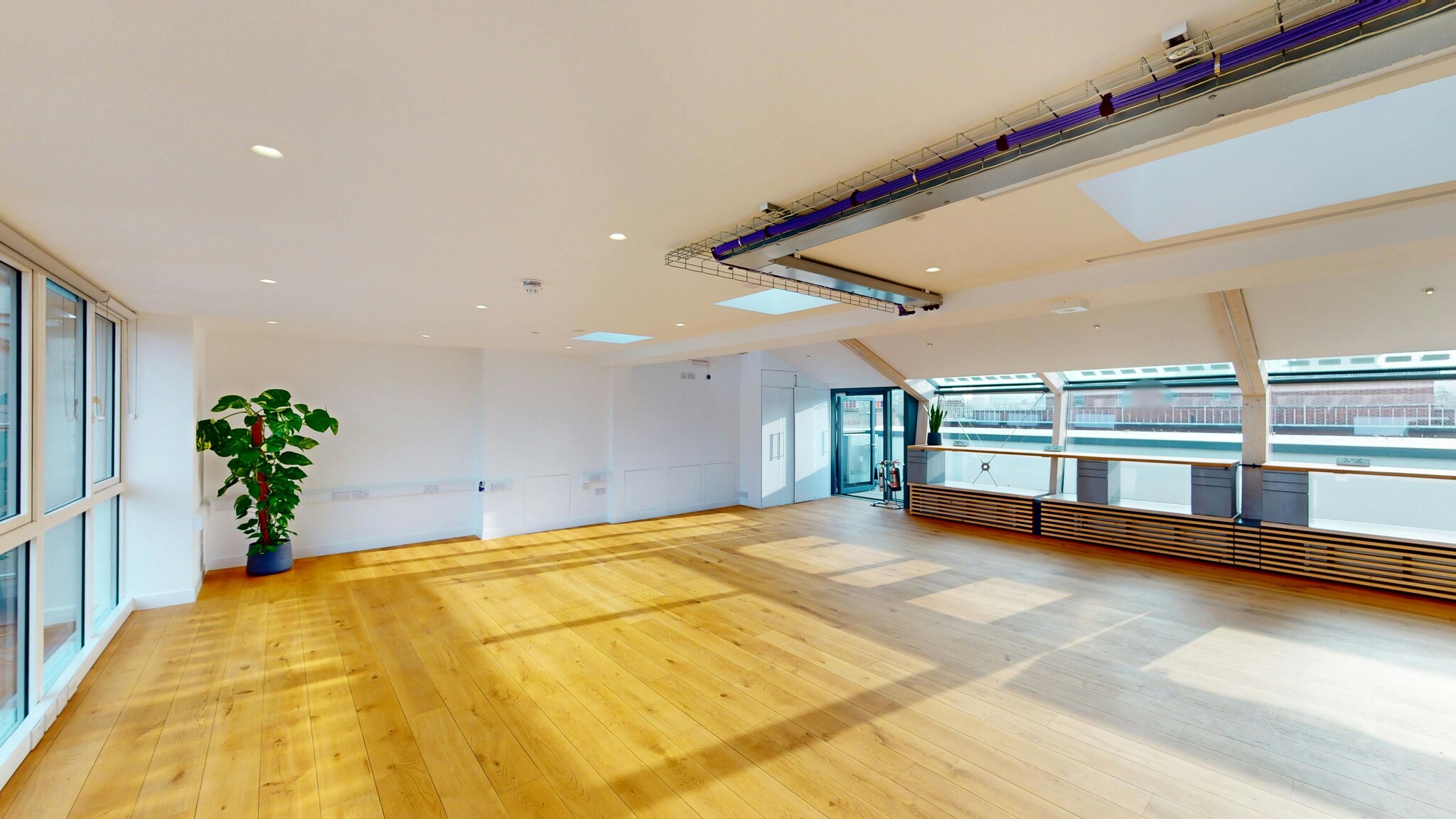 Synergy House photo 3