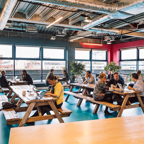 Huckletree D2 photo 3