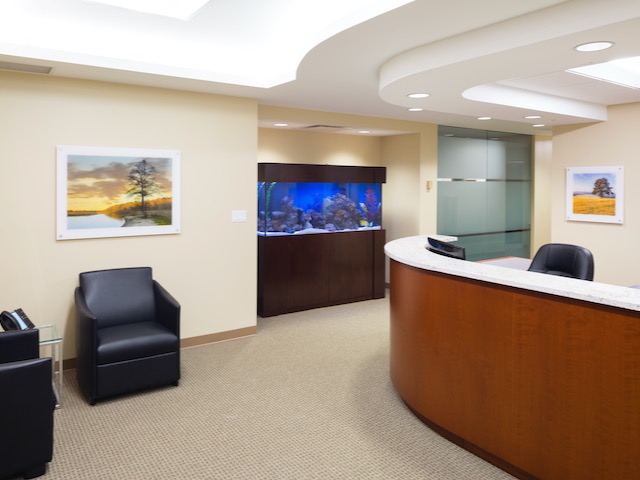 Mount Kisco photo 3