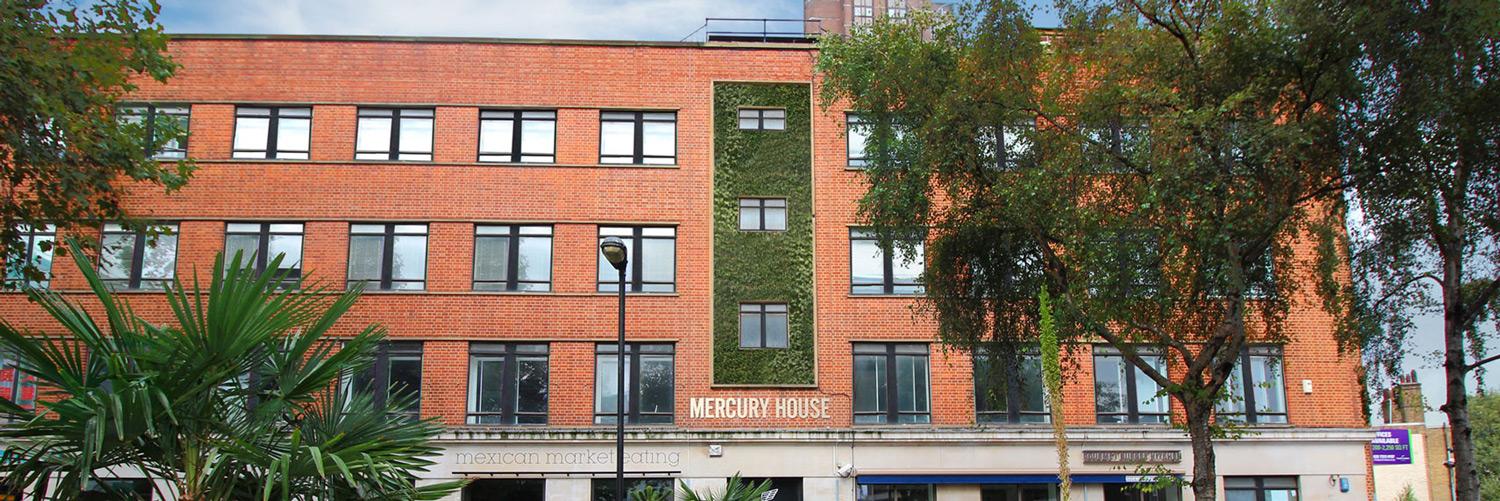 Mercury House photo 1