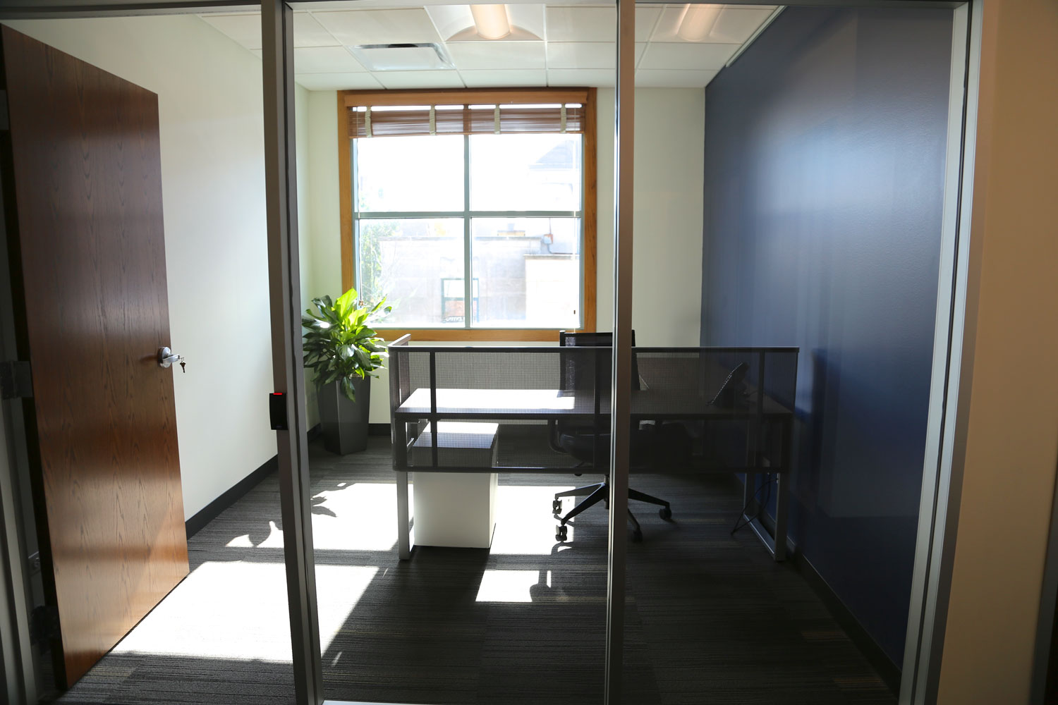 LifeWorking photo 4
