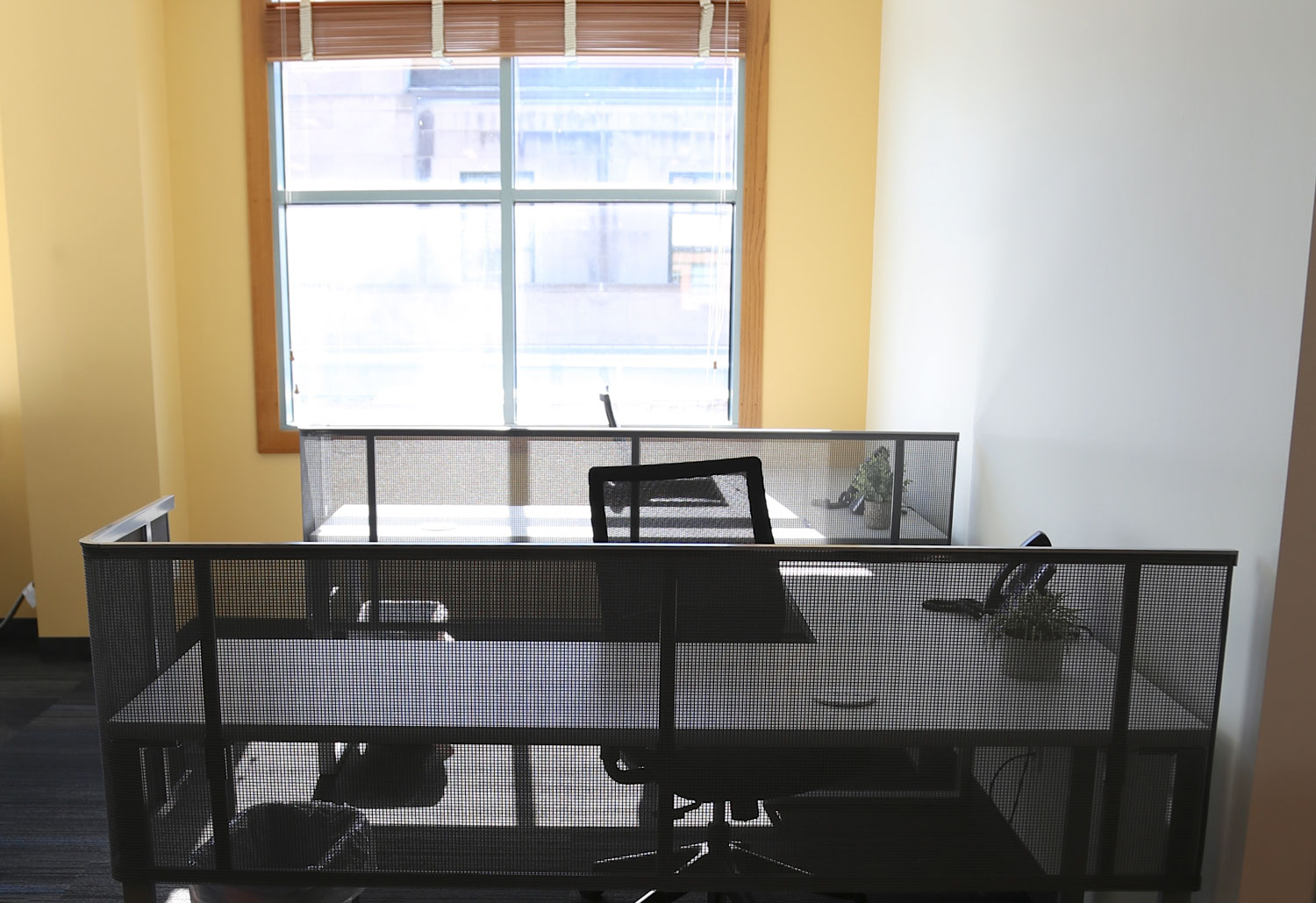 LifeWorking photo 3