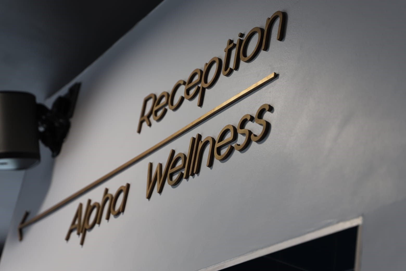 Alpha Works photo 3
