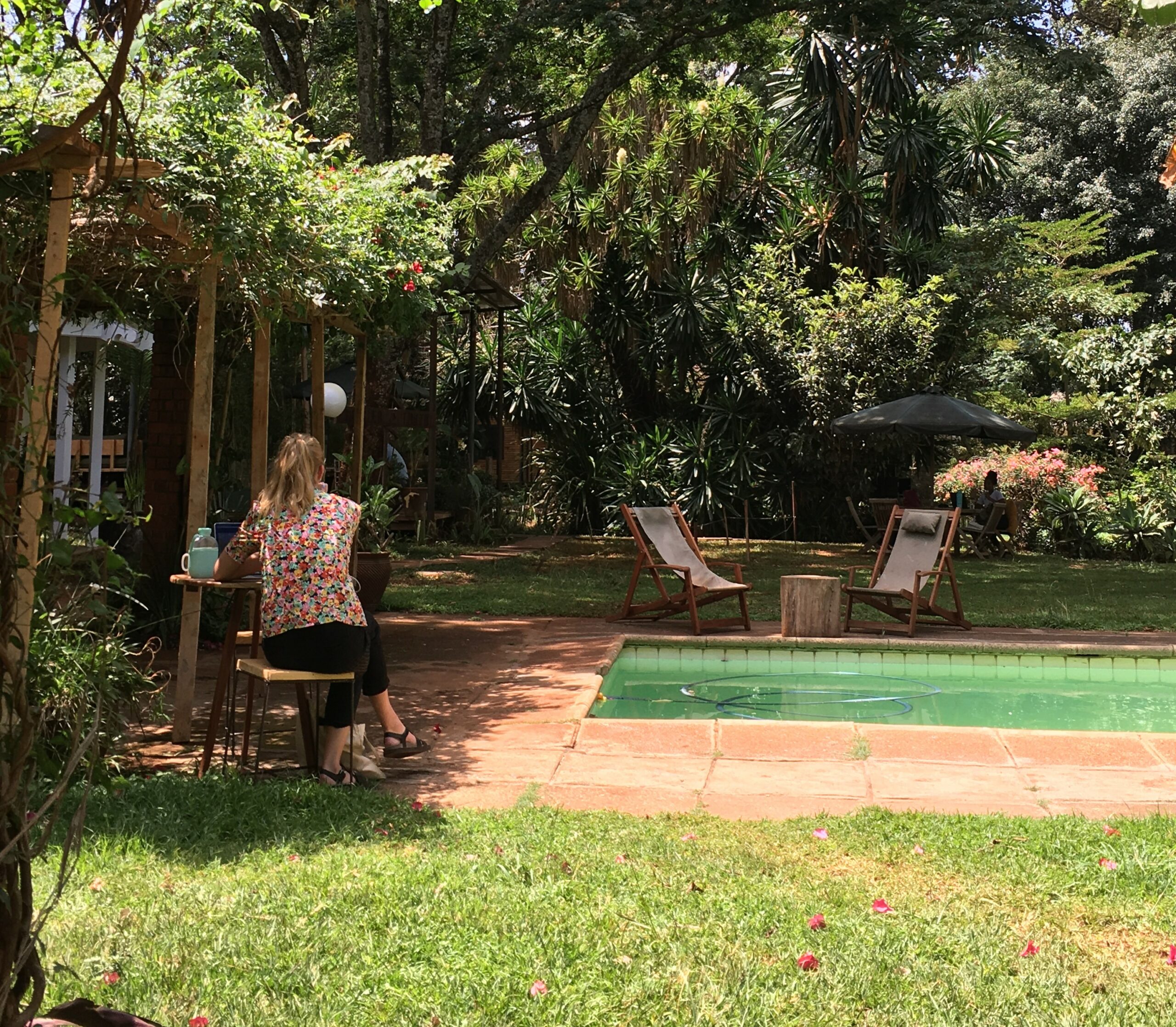 Ikigai Westlands photo 2