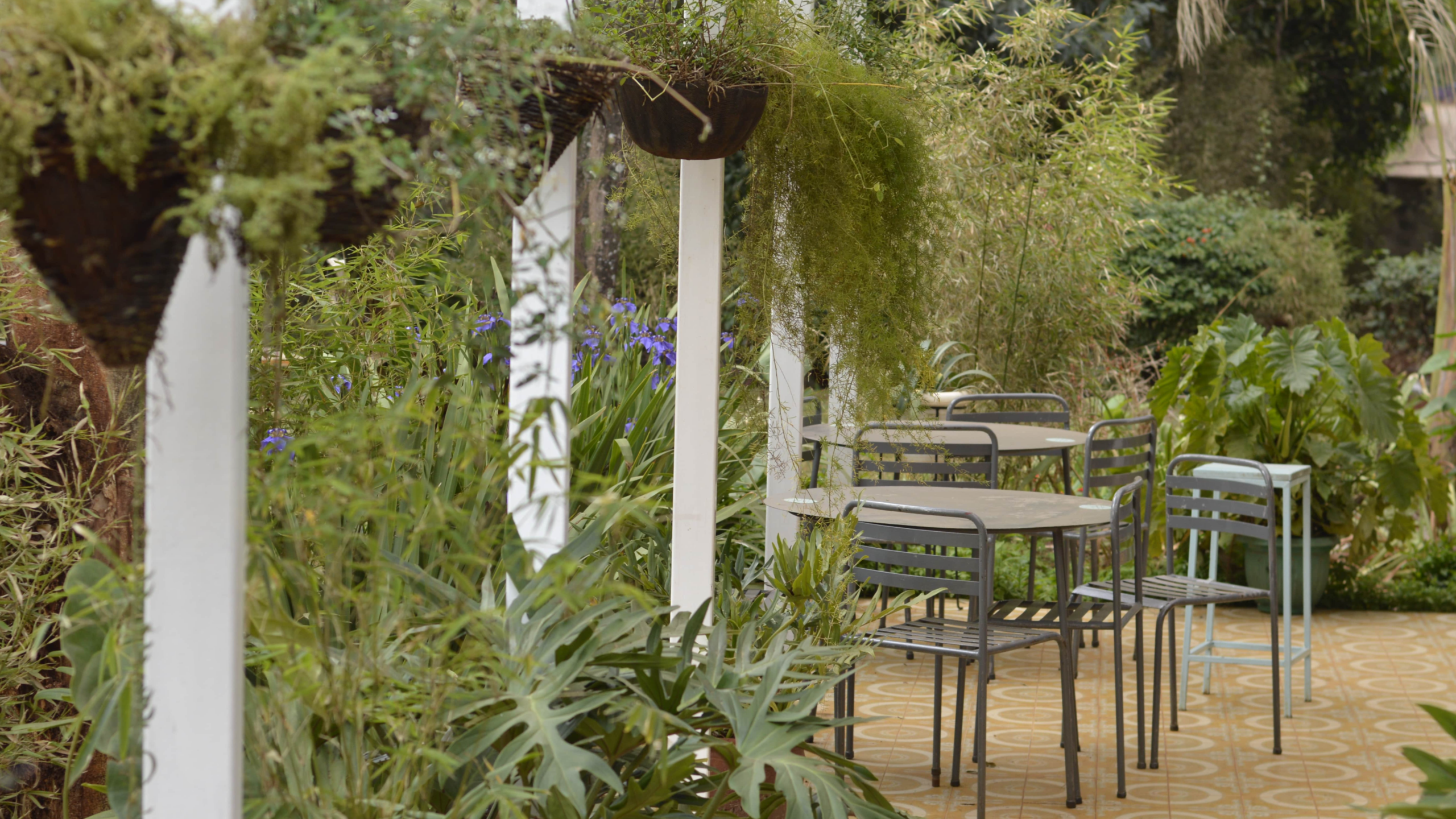 Ikigai Westlands photo 3