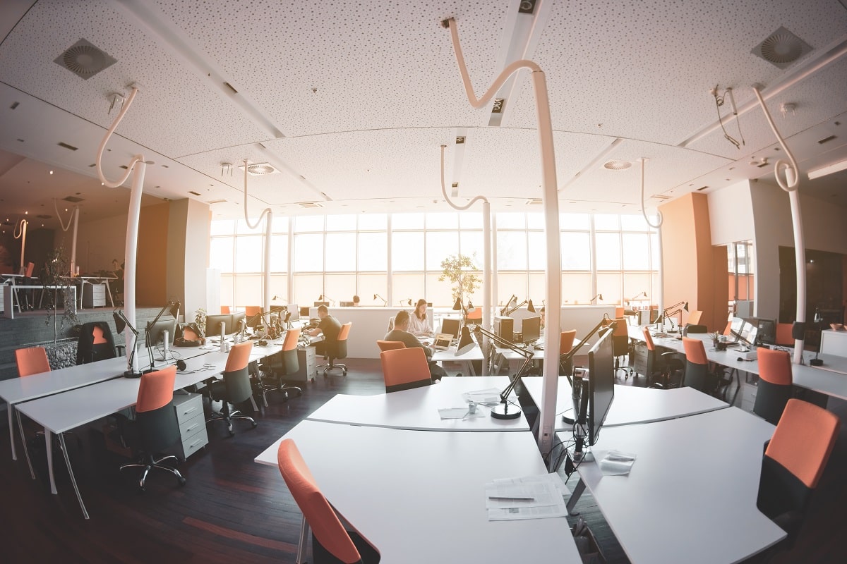 Shegerhive Business photo 1