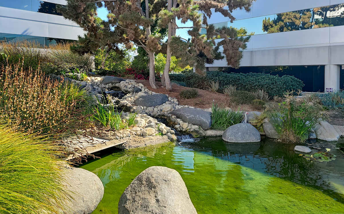 Regus - Carlsbad, Palomar Airport Road photo 12