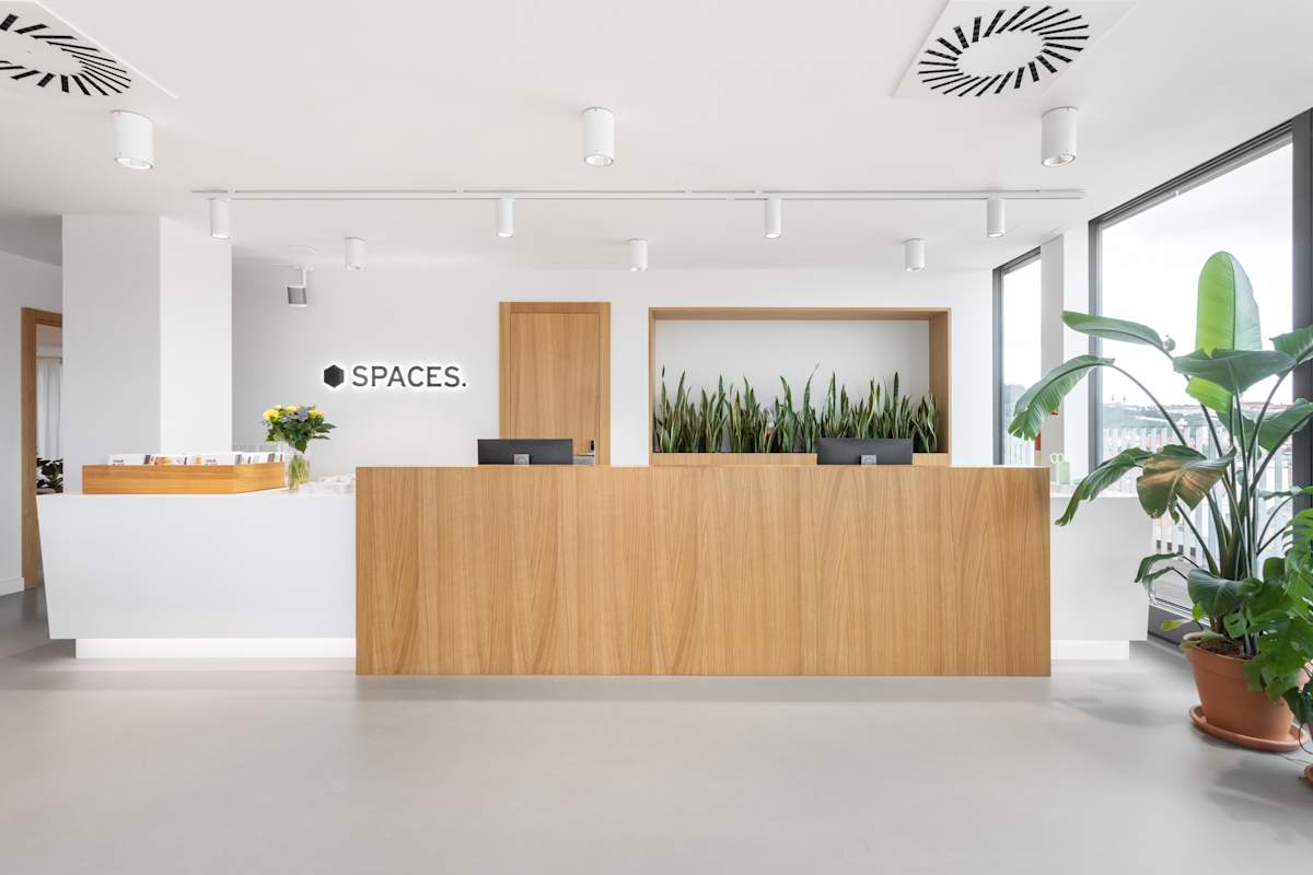 Spaces - Albatros photo 12