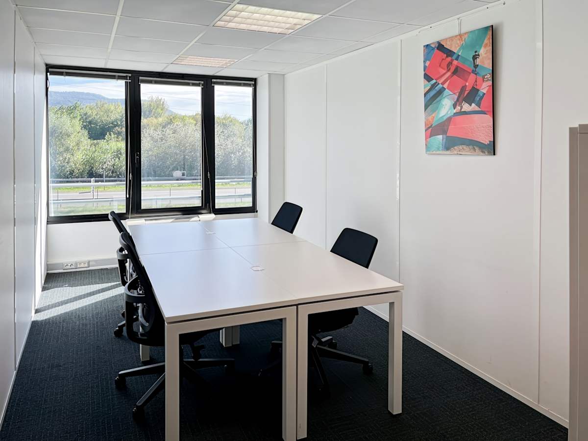 29 Boulevard des Alpes photo 3
