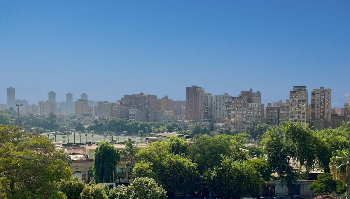 Maadi 55 photo 2