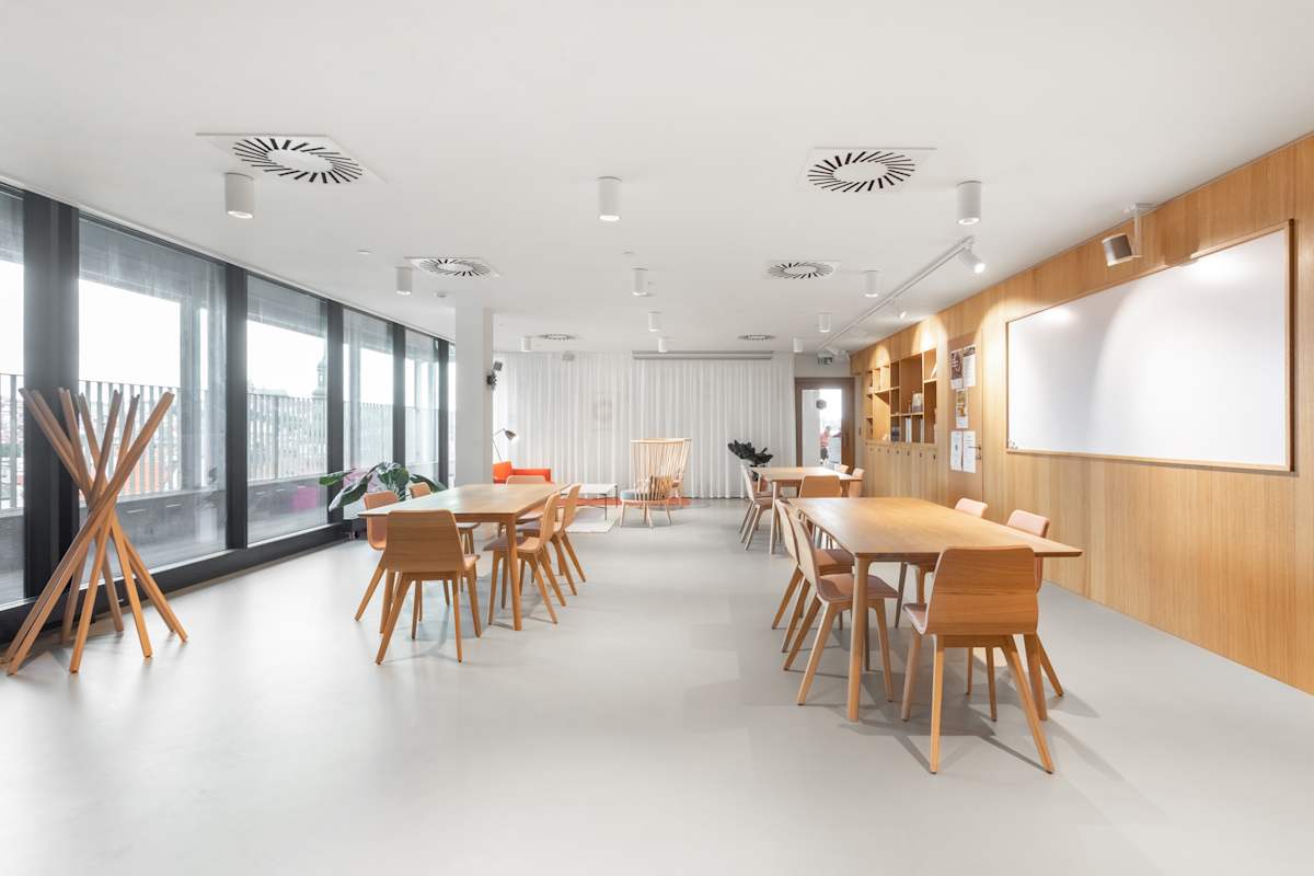 Spaces - Albatros photo 8