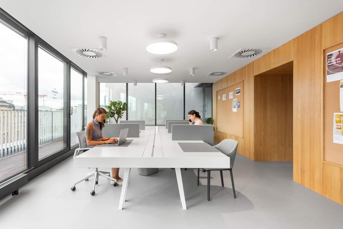Spaces - Albatros photo 10