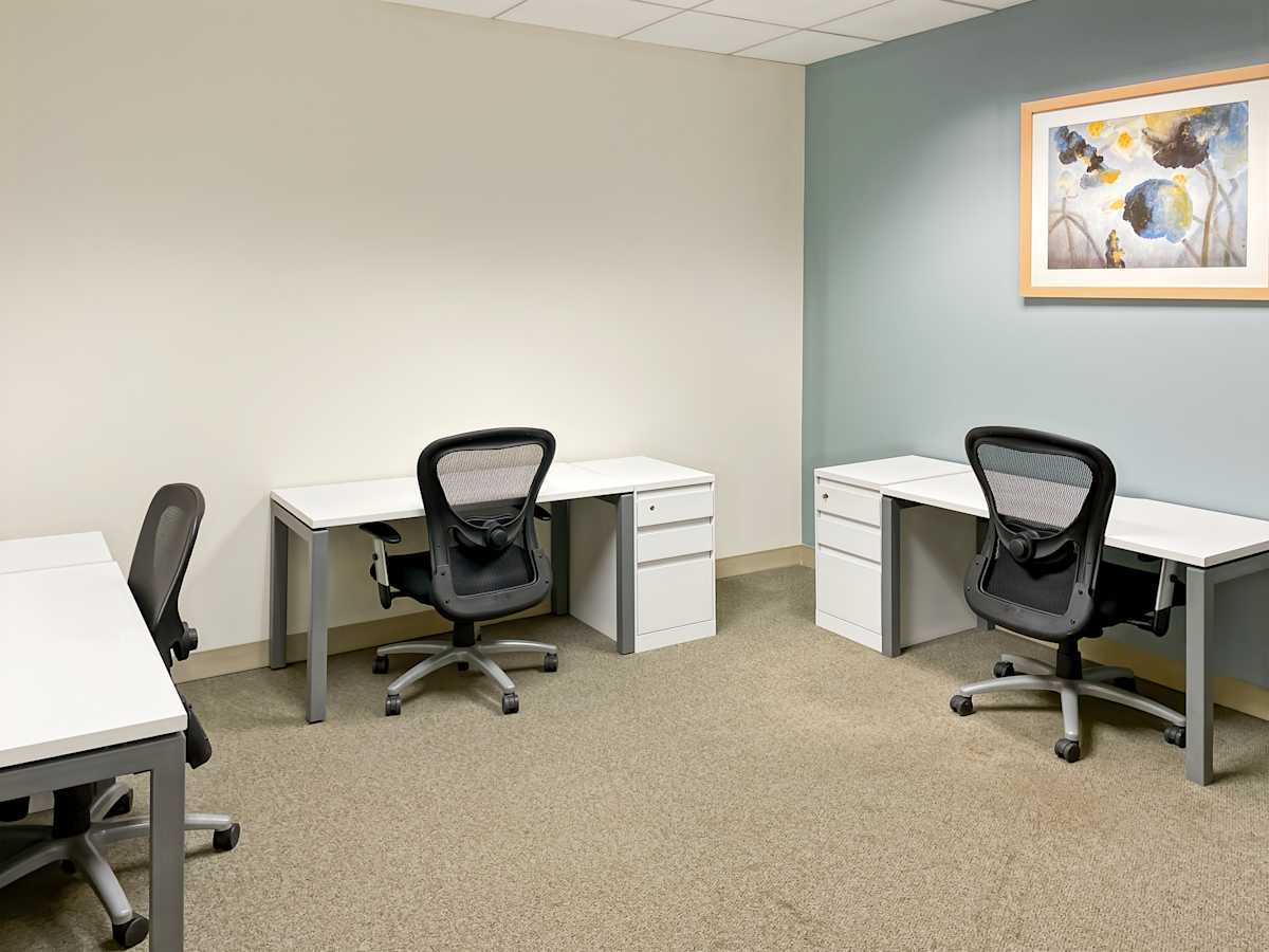 Oak Brook Pointe photo 9