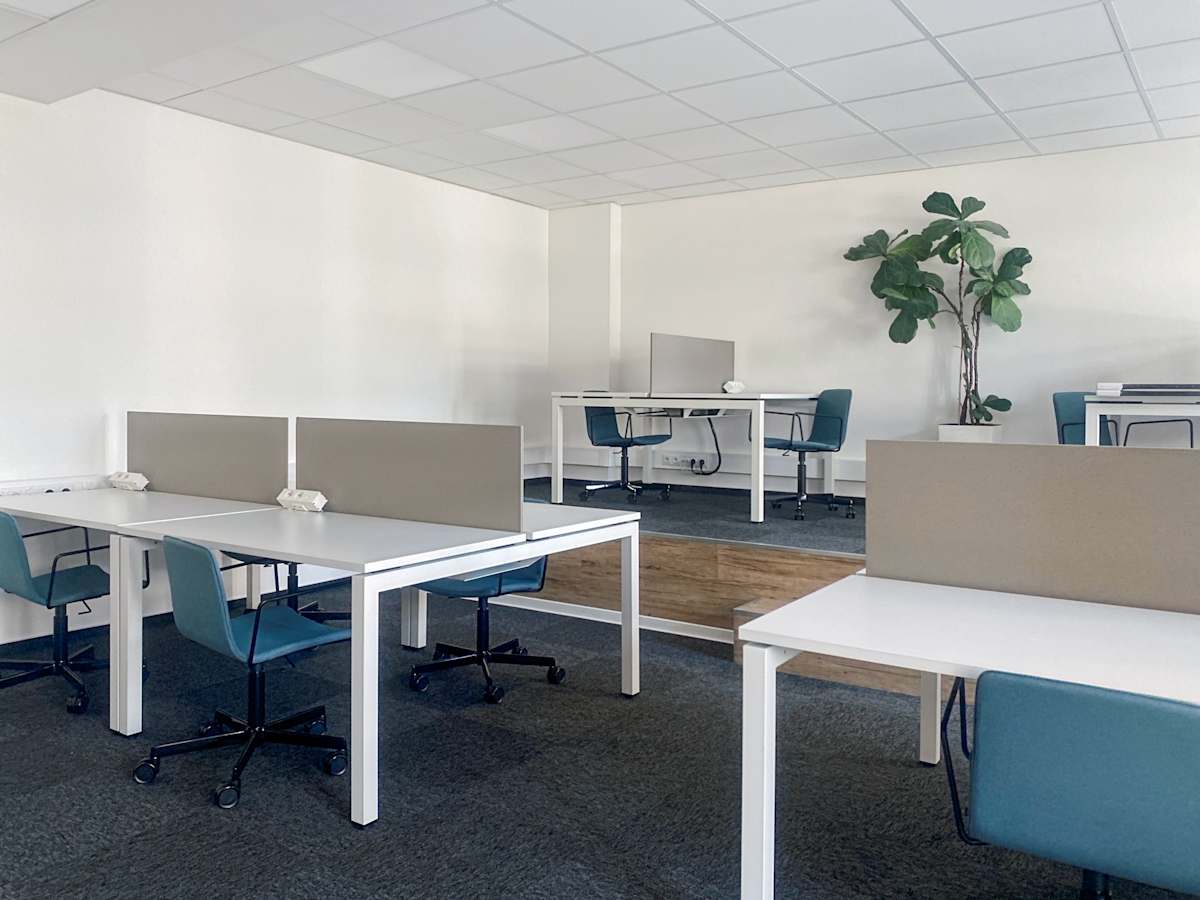 Platan Office photo 9