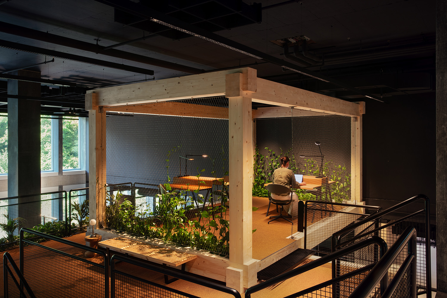 Novu Campus photo 3
