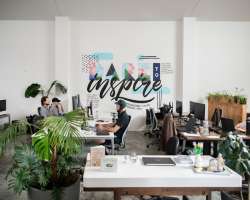 The Workshop Ponsonby photo 7
