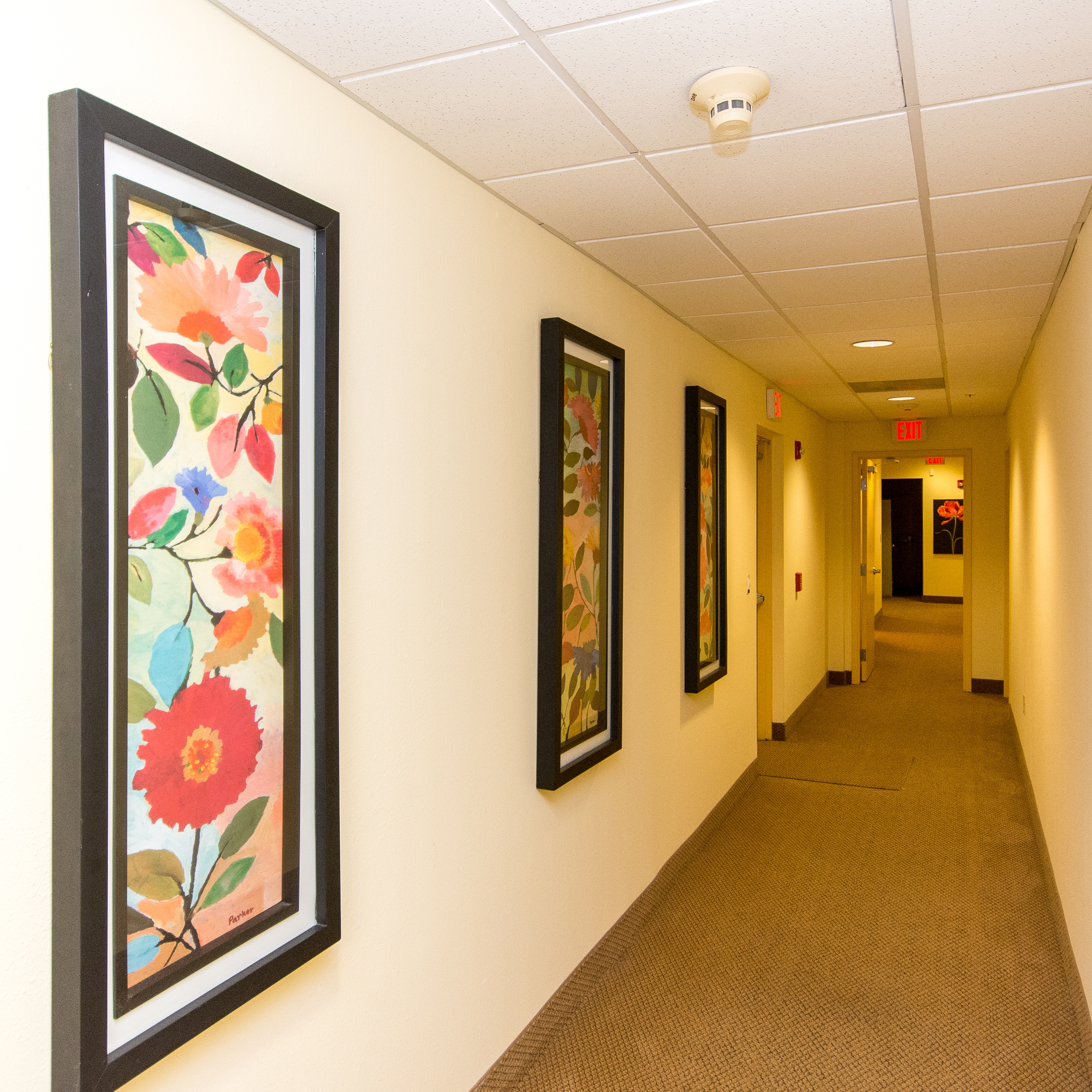 Zen Offices Wilton Manors photo 4
