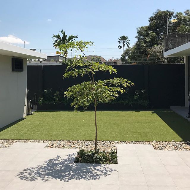 Buro 215 photo 3