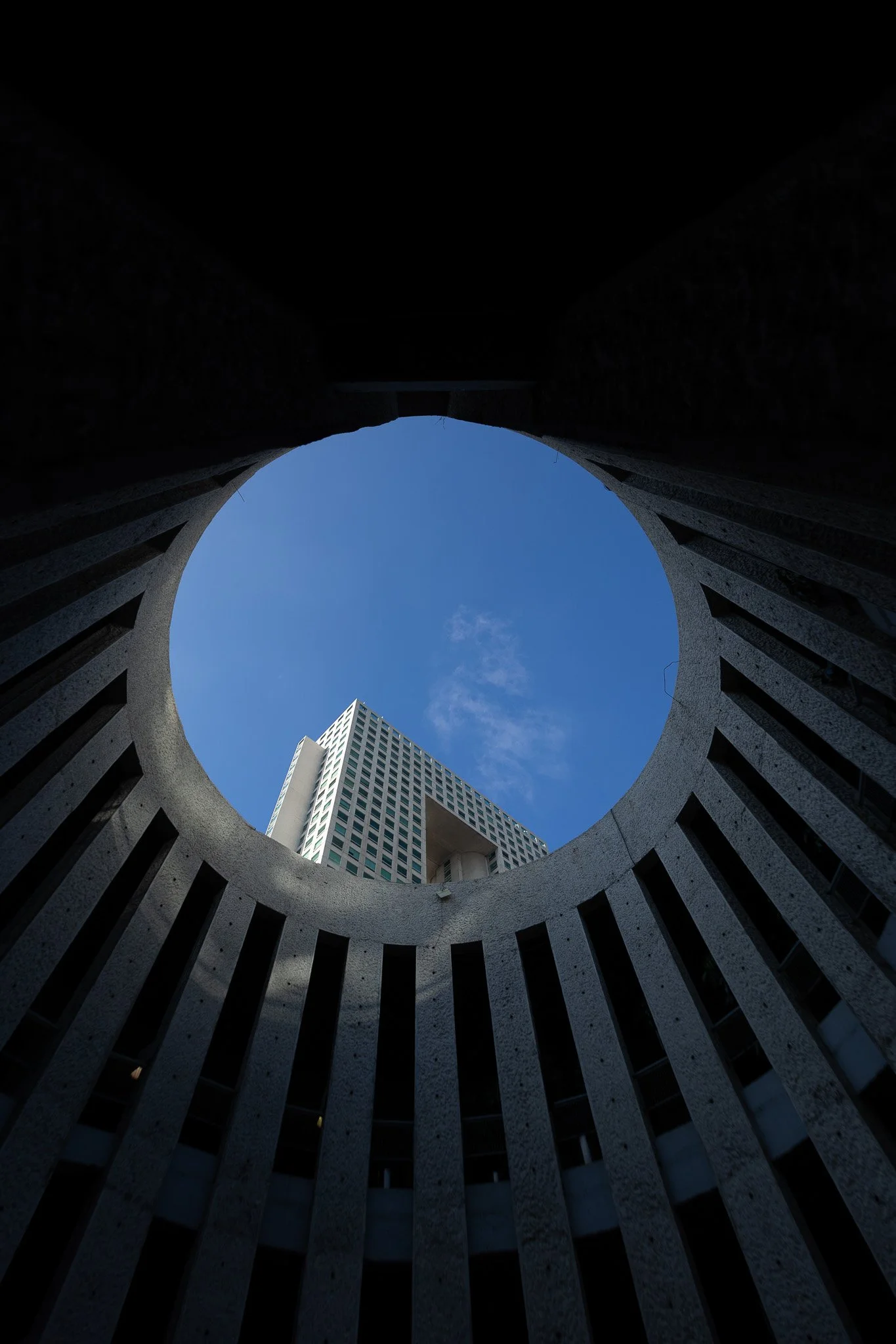 Torre Arcos Bosques photo 6