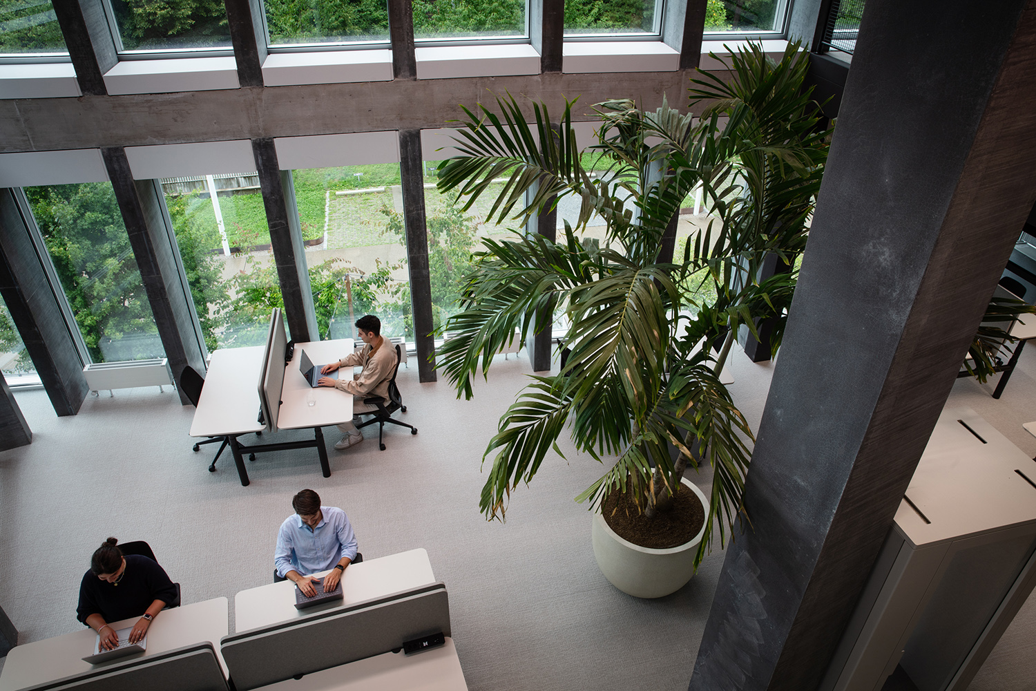 Novu Campus photo 4