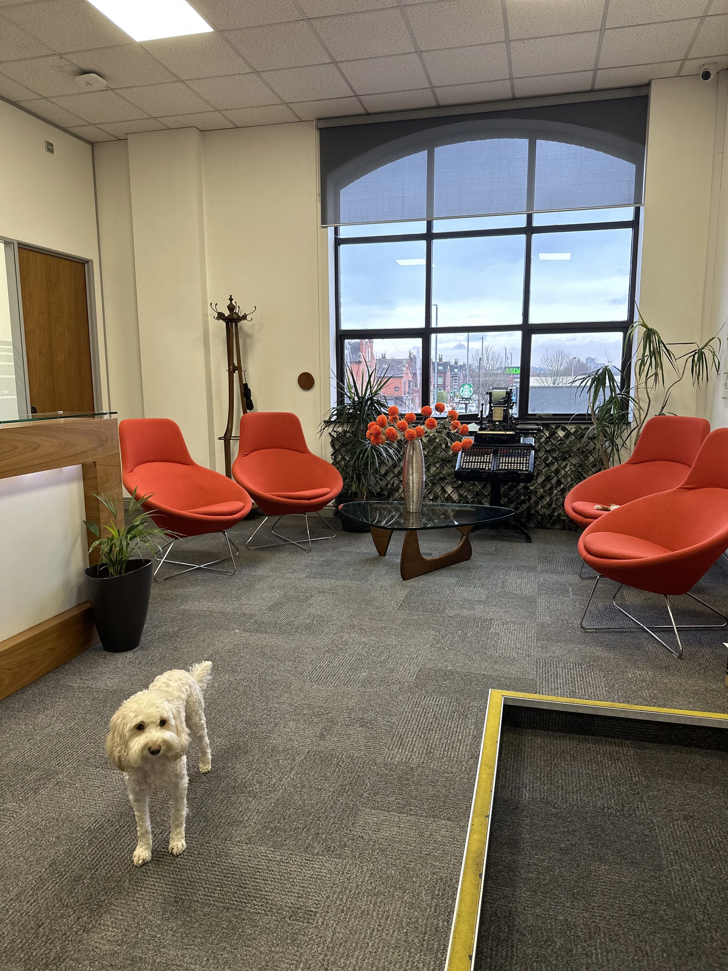 Airedale House Business Centre photo 5